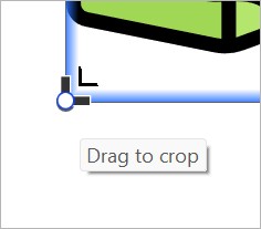 The black cropping cursor in thinkcell