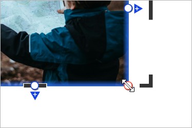 Resizing a thinkcell image in Fill Frame mode
